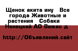 Щенок акита ину - Все города Животные и растения » Собаки   . Ненецкий АО,Вижас д.